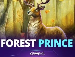 Forest Prince™ game cover